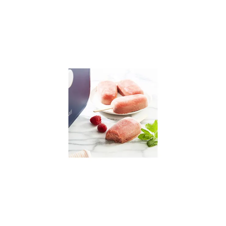 Mix sorbet 300 g*Guy Demarle Shop