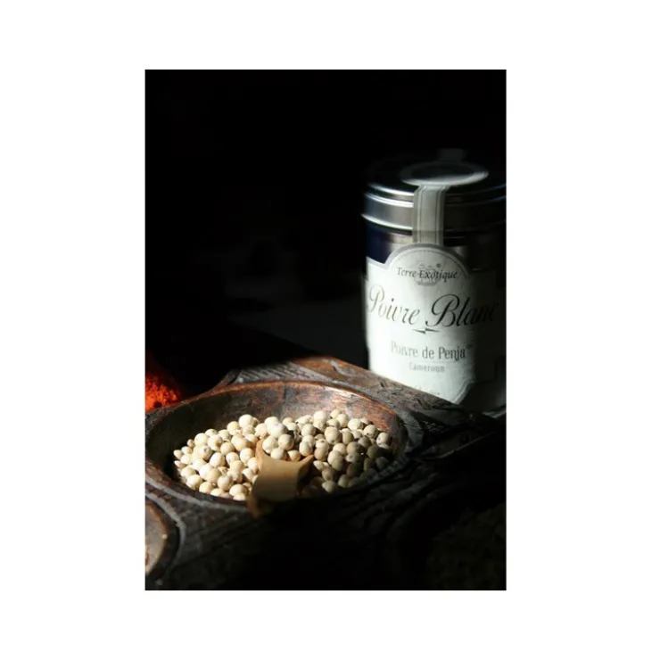 Poivre blanc de Penja 70 g*Guy Demarle Best Sale