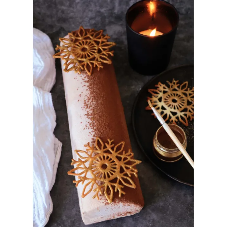 Poudre velours cacao scintillant 80g*Guy Demarle Outlet