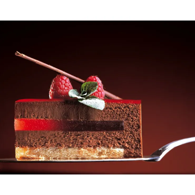 Pralin feuilletine 1 kg*Guy Demarle Store